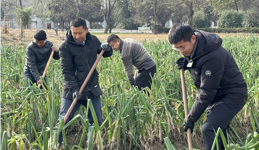 2024澳门历史记录查询免费